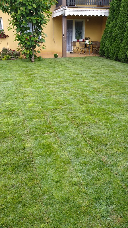Zakładanie trawników sianych z rolki - Trawnik z  rolki od 15 do 50 zł M